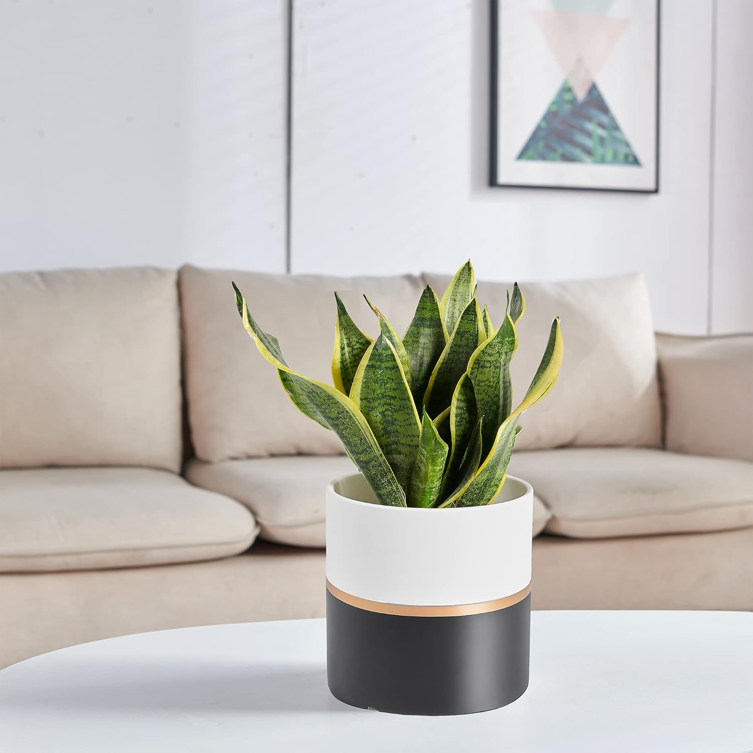 Planter Plant Pots Indoor - 6.7 Inch Modern Ceramic Flower Pot with Drainage Hole for Home Office Decoration (White Black)(Plant Not Included) image number 2