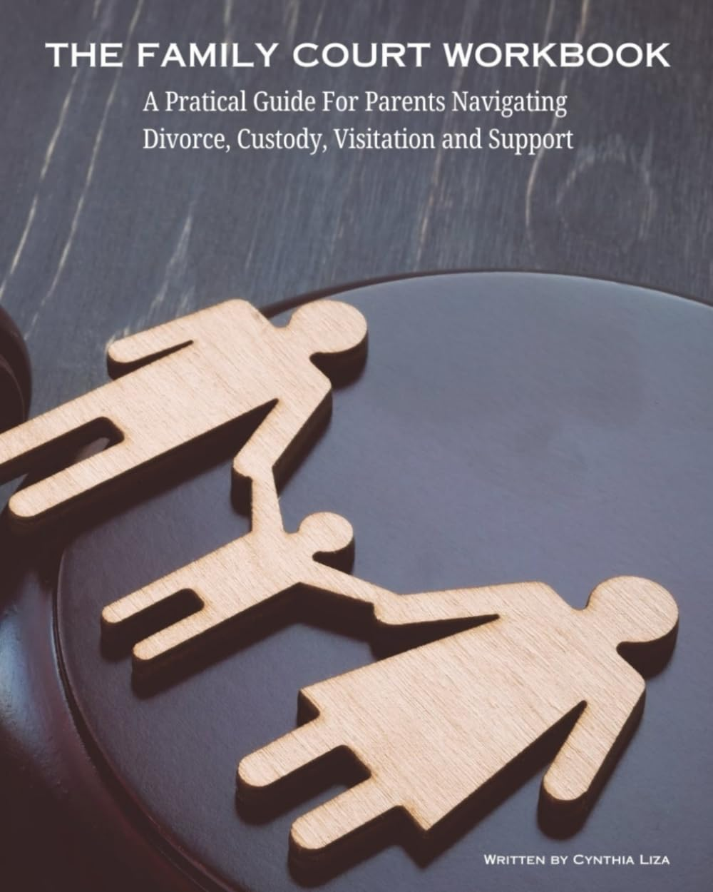 The Family Court Workbook: a Pratical Guide for Parents Navigating Divorce, Custody, Visitation and Support image number 1