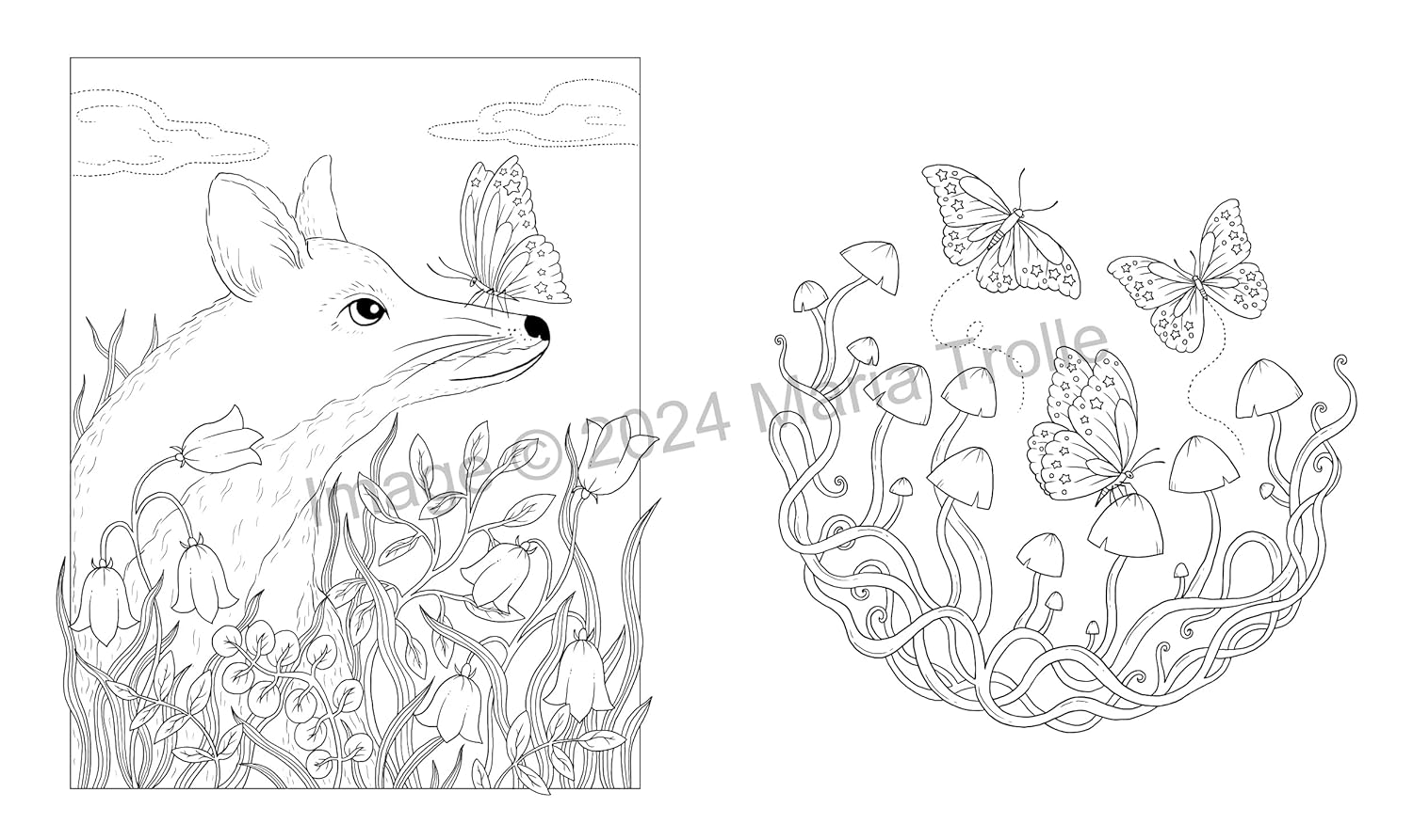 Shooting Star: Coloring Book image number 6