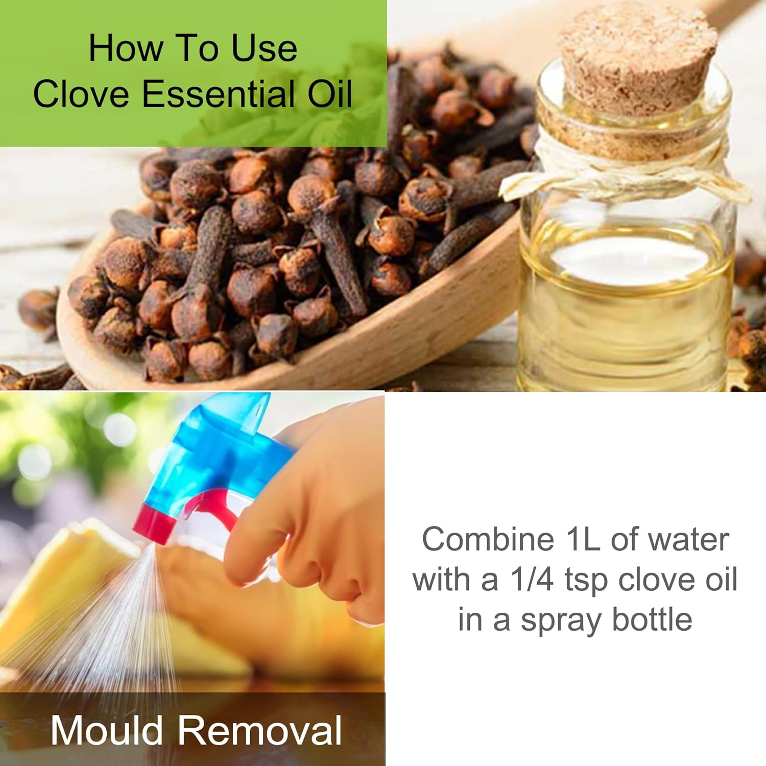 100% Pure Clove Bud Essential Oil | Oil of Cloves | Clove Oil for Cleaning 50 Ml image number 1
