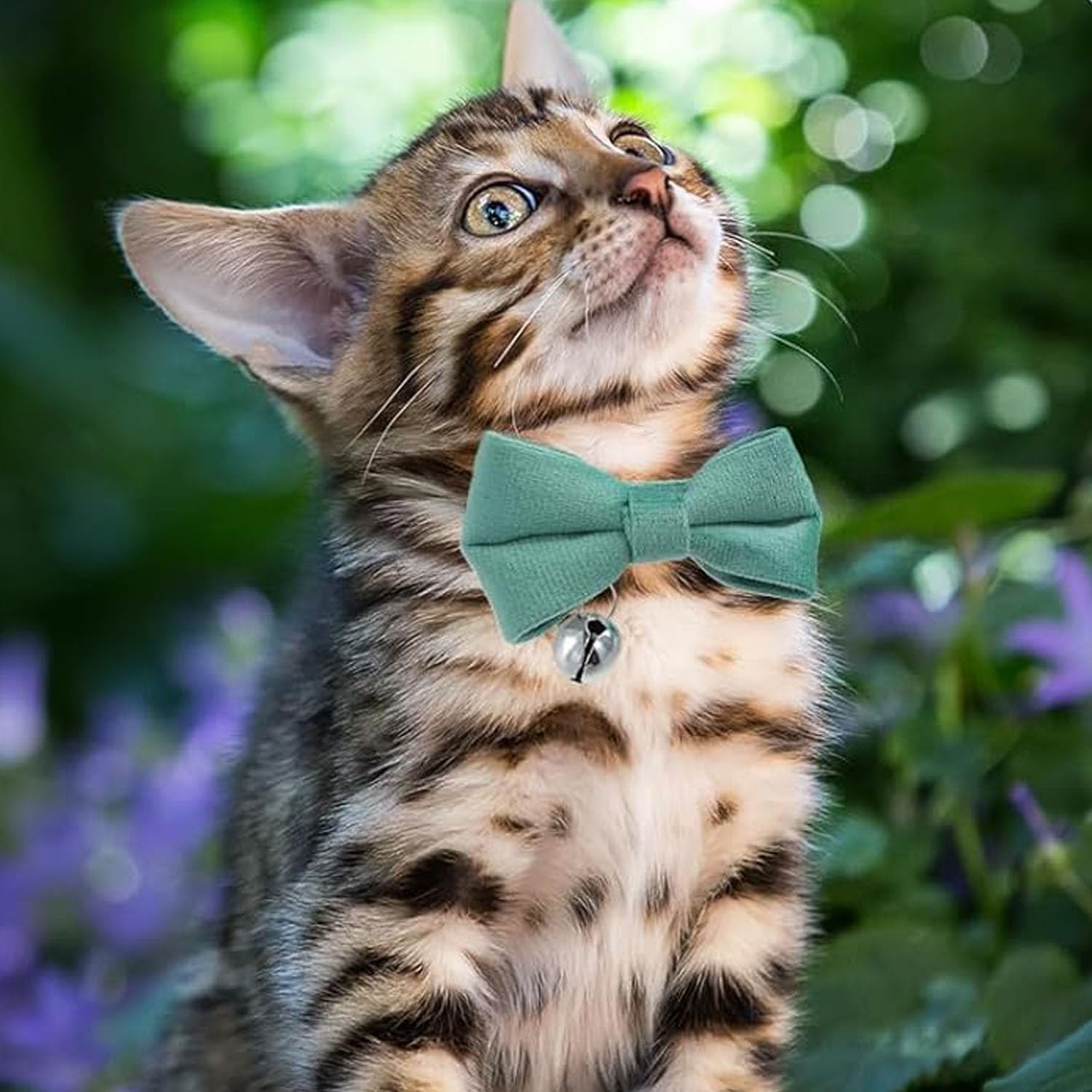 Adjustable Cat Bow Tie Collar with Detachable Bell, Breakaway Pet Collar for Cats, Dogs, Puppies & Kittens, Soft & Safe Pet Apparel Accessory (Blue) image number 3