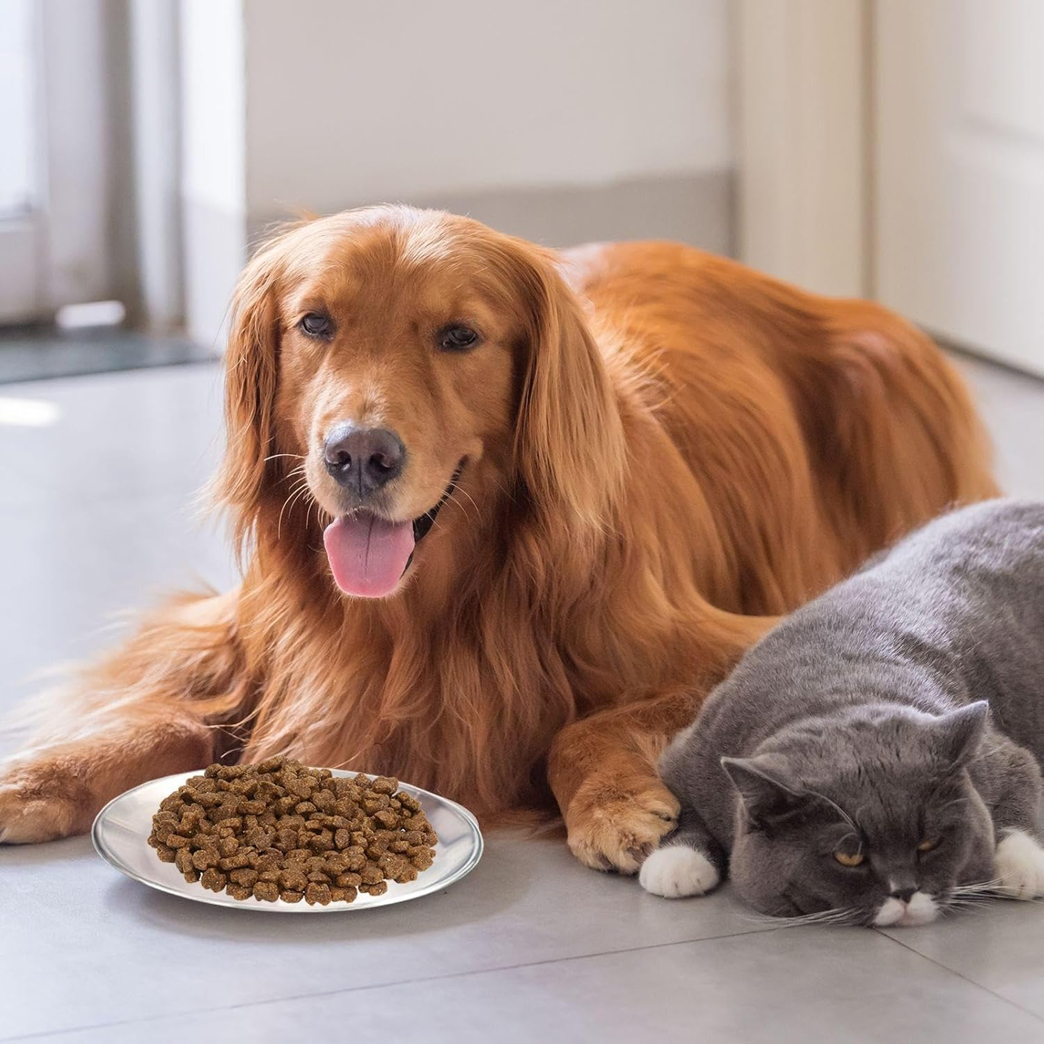 CVDYWDJIE Pack of 3 Stainless Steel Plates and 2 Cleaning Cloths, Cat Food Bowls, Pet Food Bowls, Shatterproof Trays, Pet Feeding Tools image number 5