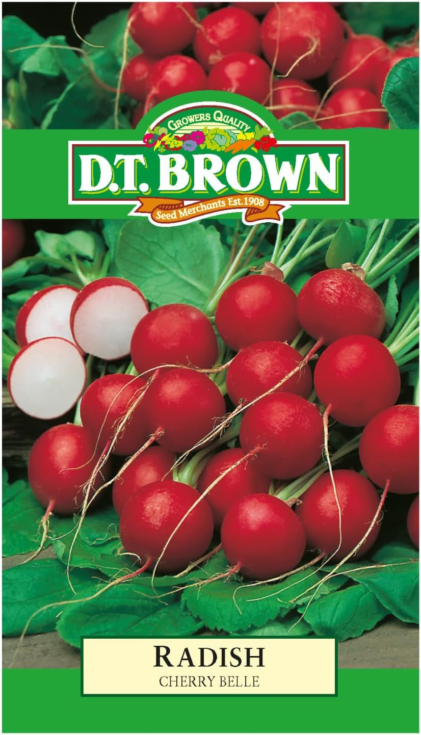 D.T. Brown Seeds - Radish Cherry Belle - 500 Seed Pack