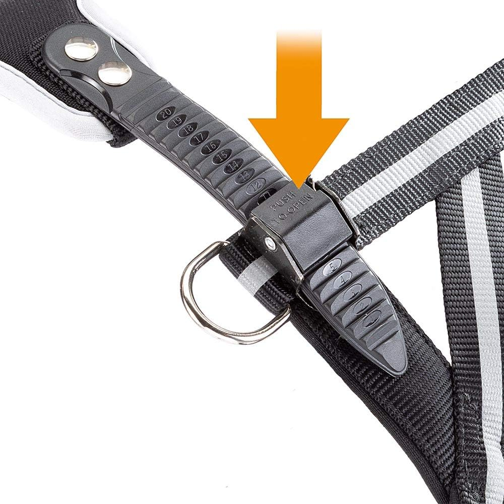 Ferplast Ergocomfort Nordic 2 Dog Harness, 58 X 67 X 82 Cm