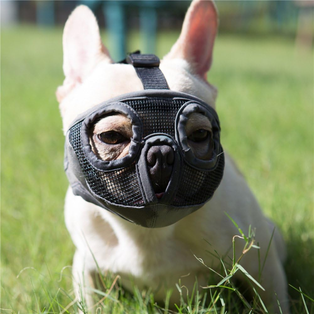 JYHY Short Snout Dog Muzzles- Adjustable Breathable Mesh Bulldog Muzzle Biting Chewing Barking Training Dog Mask, Gray L image number 2