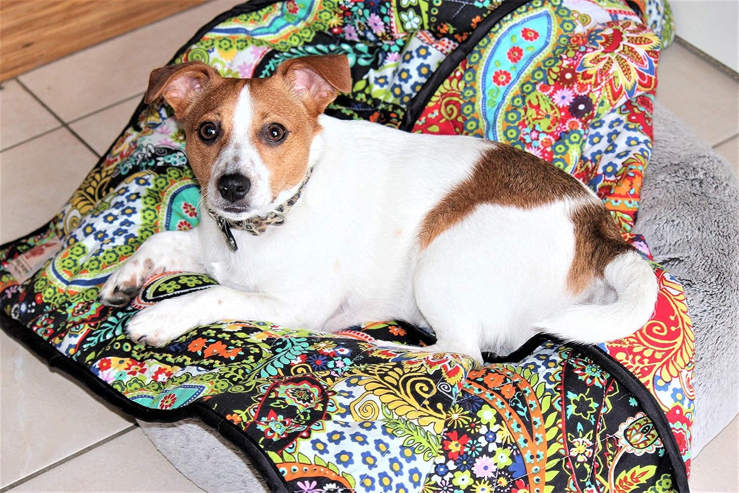 110 Cm X 110 Cm Pet RED BLACK Eco Blanket Quilt Reversible for Cat Dog Toy Cavoodle Maltese Small Toy Dogs or Dog Bed Cover, Quick Ship Local Aussie Supply Large Dog Blanket, Dog Sofa Cover, Pet Throw Blanket, Dog Car Seat, Dog Beds, Calming Dog Bed Protect Dog Beds Quick Wash Dog Mat Quilt Cover