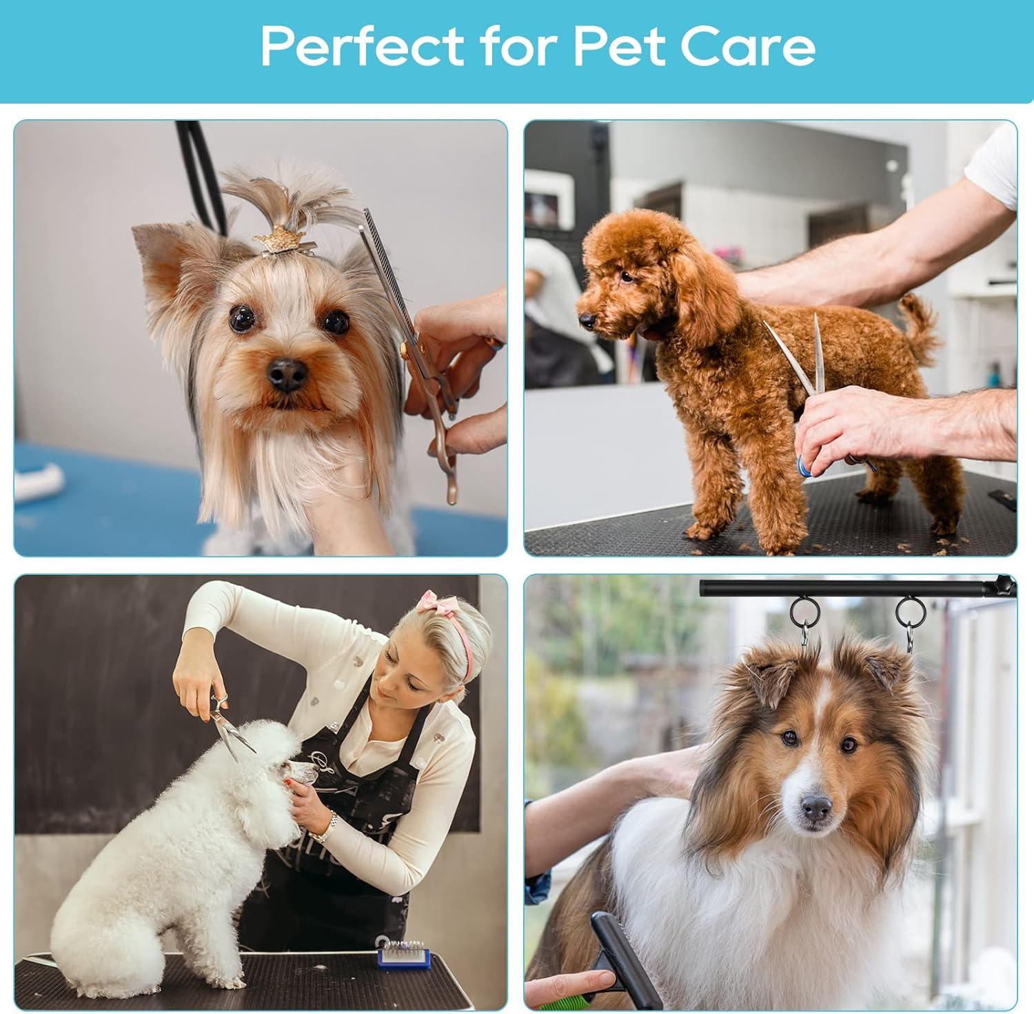 Wegxy Dog Grooming Arm, 35" Height Adjustable with Double Clamp for Small & Medium Dogs, Grooming Loop Noose & No-Sit Haunch Holder