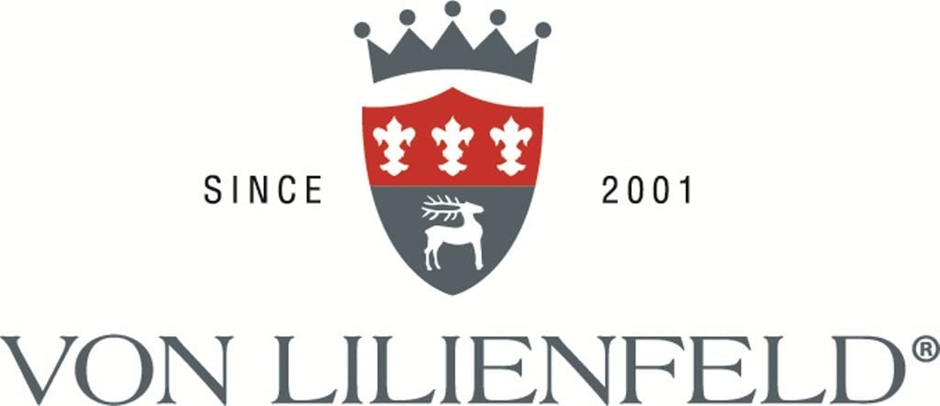 VON LILIENFELD Women'S Handbag USA American Dream Shopper Dimensions L 42 X H 30 X D 15 Cm Beach Bag Handbag Office, Multicoloured