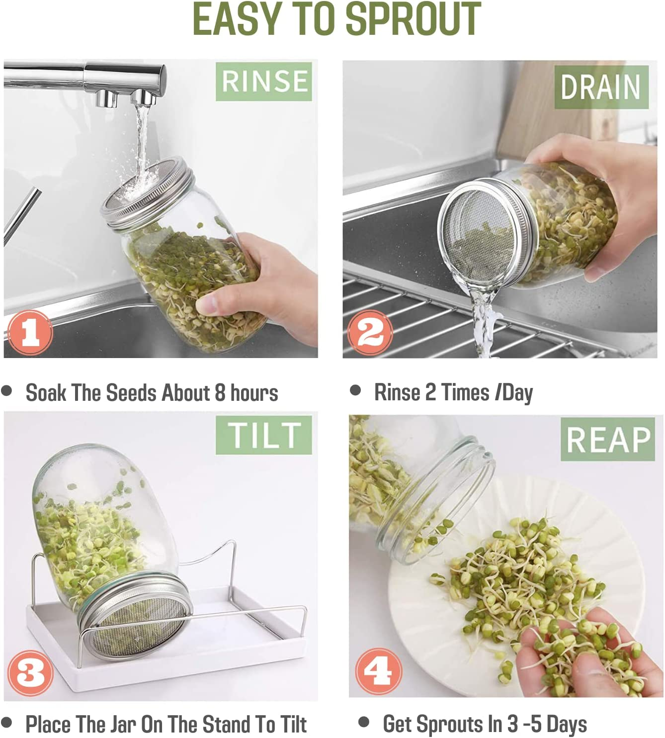 2 Pack Seed Sprouting Jar Kit- 1L Wide Mouth Quart Mason Jars with Sprout Lids, Sprouts Growing Kit Quart Sprouting Jars for Melamine Tray,Stand Seed Sprouter Set for Growing Broccoli image number 3