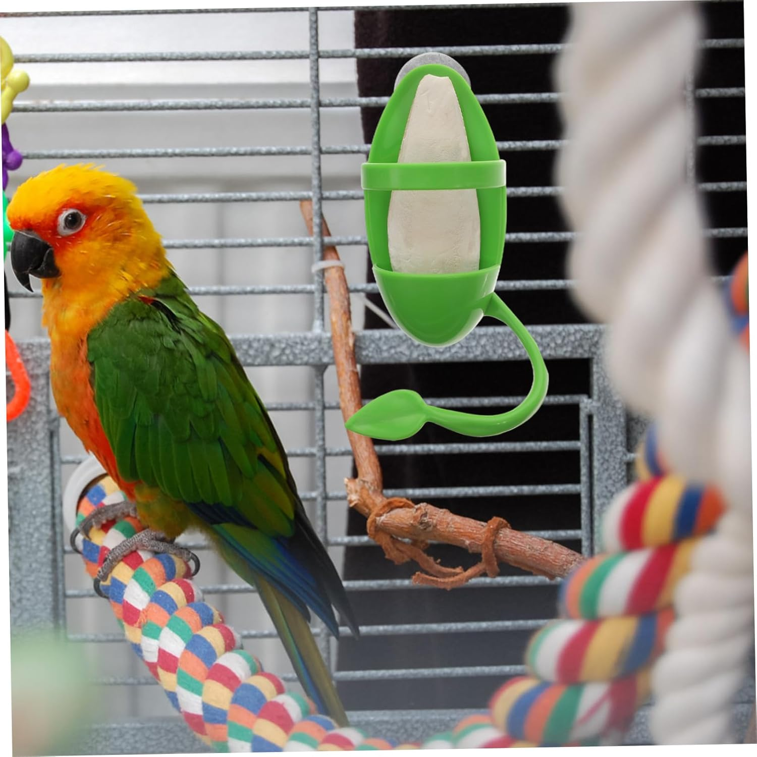 JOINPAYA 3Pcs Cuttlebone Parrot Feeding Rack Set Hanging Cuttlefish Bone Holders for Bird Cage Accessories, Pet Supplies for Parrots, Suitable for Bird Feeding and Calcium Supplement image number 3