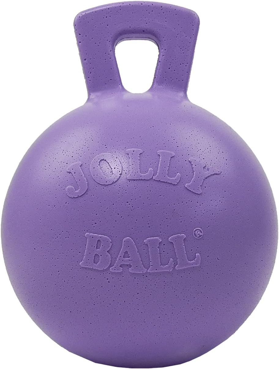 Jolly Pets Tug-N-Toss Heavy Duty Dog Toy Ball with Handle, 8 Inches/Large, Light Purple