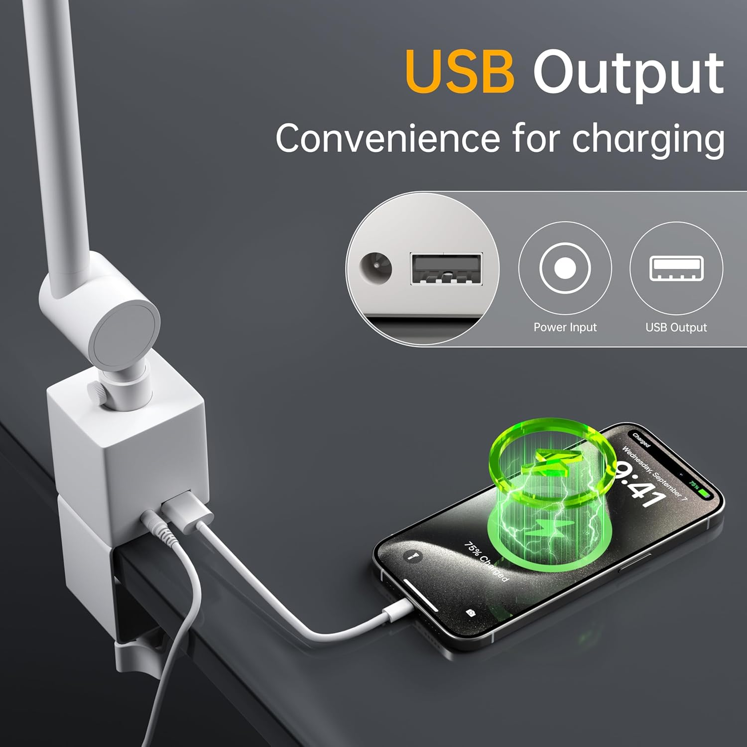 Deeloop 2-Arms Swing Long LED Desk Lamp with Clamp, CRI 95+ Eye-Caring Light, USB Charging Output, 2-Hour Timer, Dimmable Desk Light with Memory, Architect Desk Lamps for Home Office Reading &Monitor image number 3