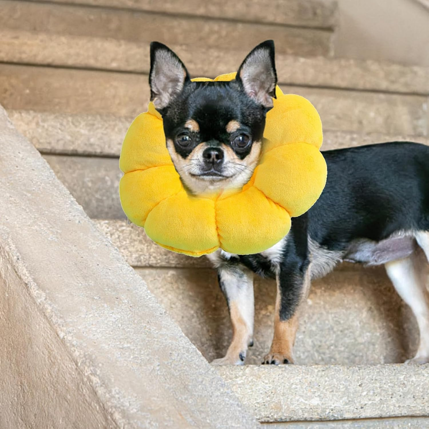 Sunflower Cat Collar, Cat Collar, Cat Collar, Soft Cat Collar, Cat Collar, Leak Protection Cat, Collars for Cats, Collar Cat, Suitable for Dogs and Cats after Surgery image number 4