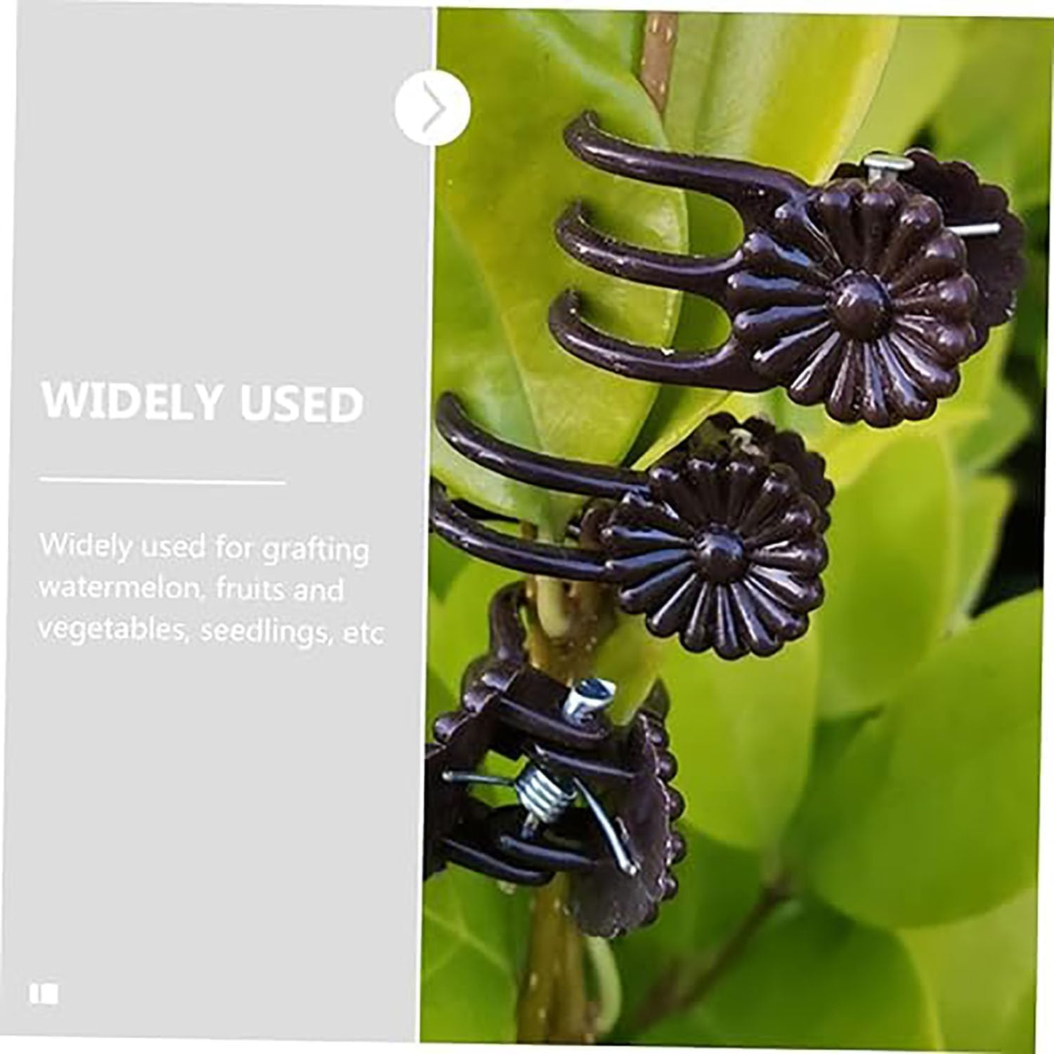 EOMECUIGAO Plant Orchid Clips 100 PCS Durable Garden Plant Clamps for Stems Branches Vines Secure Flowers Support Growth Prevent Drooping in Greenhouses Gardens Potted Plants（Dark Brown）