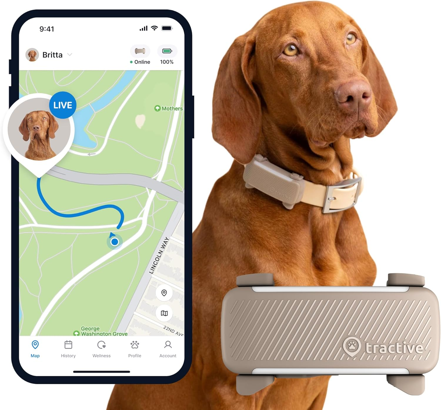 Tractive GPS Dog Tracker | Market Leader | Real-Time Location Tracking | Escape Alerts | Activity Monitoring | Health Alerts | Bark Monitoring (Mint)