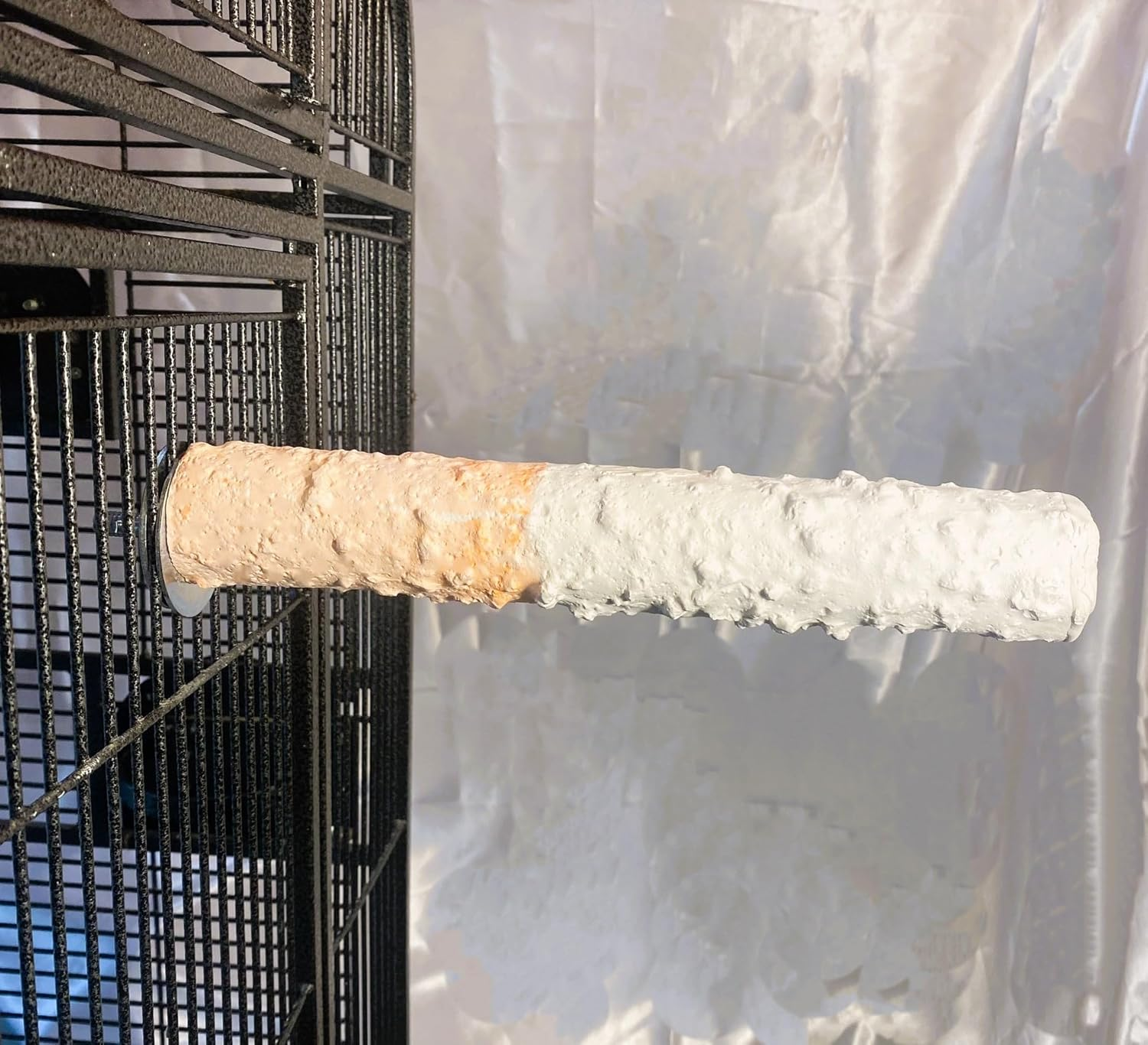 Polly'S Bird Perch, Large image number 6