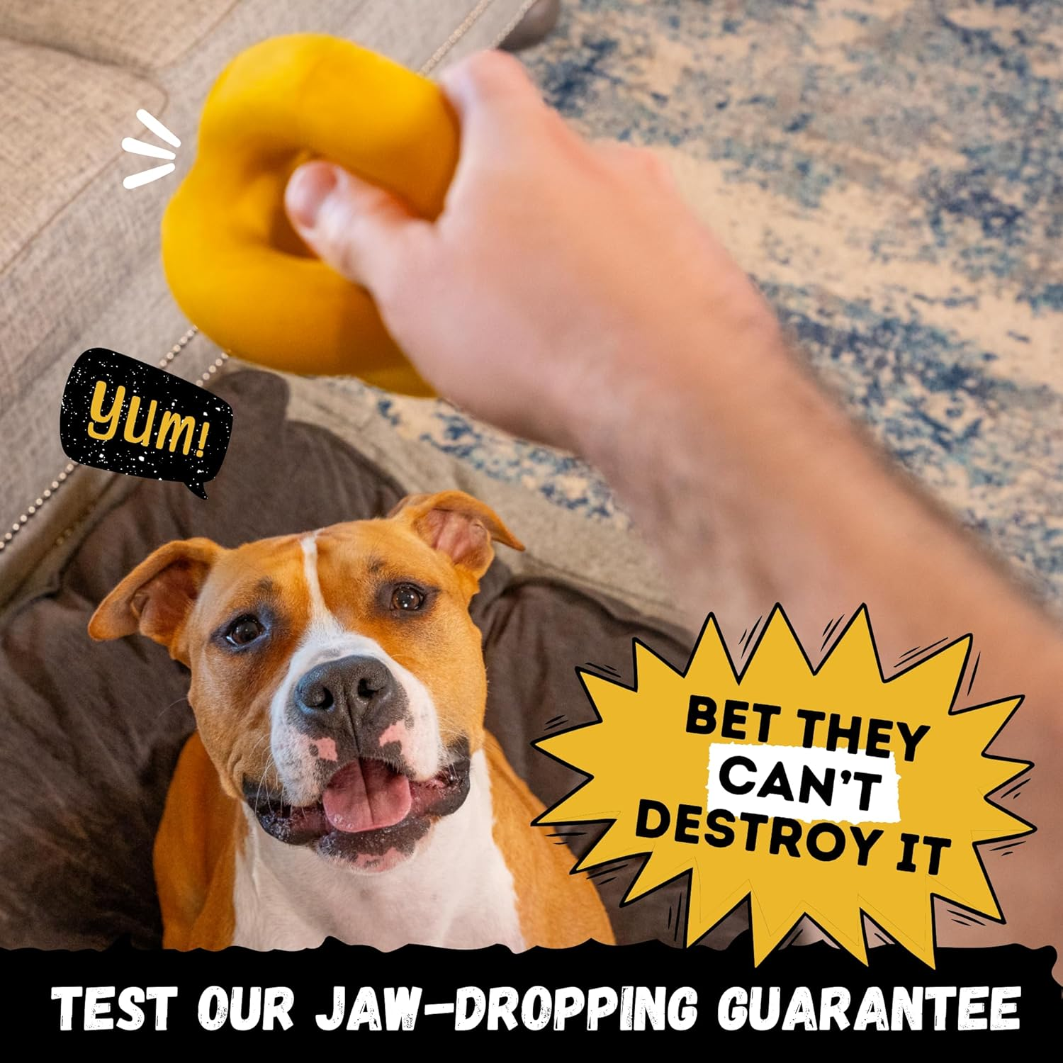 Woofbite&reg; Indestructible Tough Ring Ball for Dogs, Toy Destroyers & Aggressive Chewers - Durable, Heavy Duty Natural Rubber - Dog Chew, Tug & Fetch Toy for Medium & Large Breed Dogs image number 6