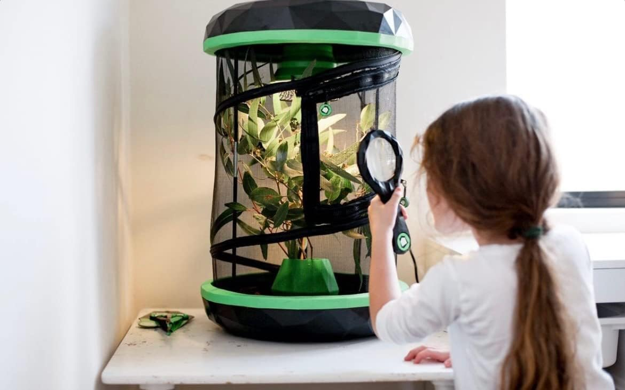 Inspector Inspector image number 3