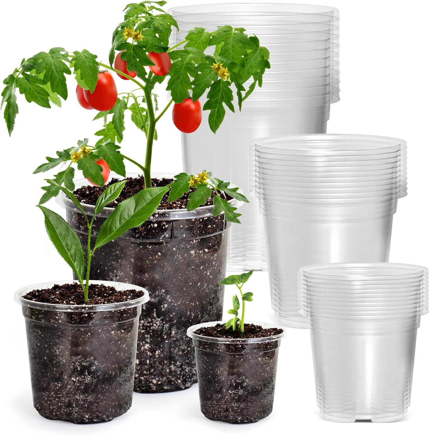 Bluepro 36 Packs 5/4/3.5 Inch Reinforced Clear Nursery Pots with Drainage Hole, Transparent Variety Pack Plastic Plant Pot Seedling Planter Seed Starter Flower