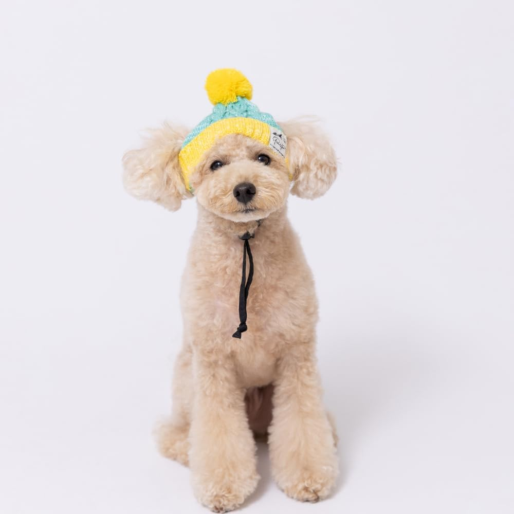 Three Arrows PIPI Dog Knit Hat, Green X Yellow, M image number 2