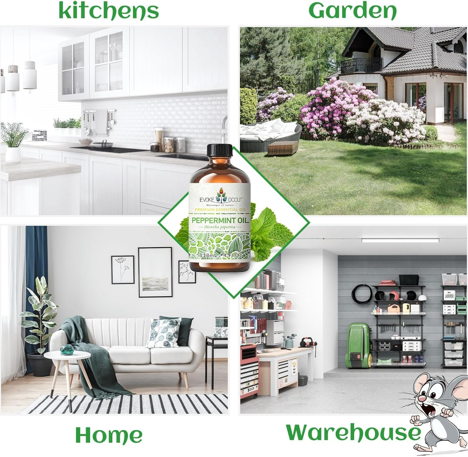 EVOKE OCCU Peppermint Essential Oil, for Natural Small Animal Deterrent, Mind Clarity Boost, Multi-Surface Cleaner, Skin & Hair Care, 100% Pure and Natural Undiluted- 118Ml image number 2