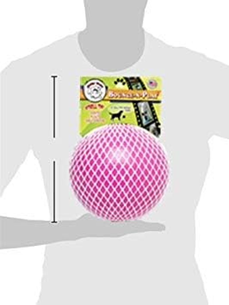 Jolly Pets Bounce-N-Play Dog Toy Ball, 6 Inches, Pink, 6 Inches/Medium (2506 PK)