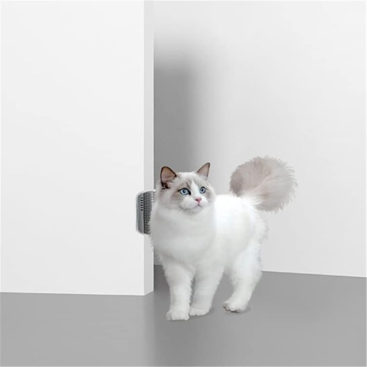 Sarini 2 Pcs Cat Self Groomer, Cat Soft Wall Corner Massage Comb, Pet Grooming Massage Scratcher Comb for Long Short Fur Cats (Grey) image number 3