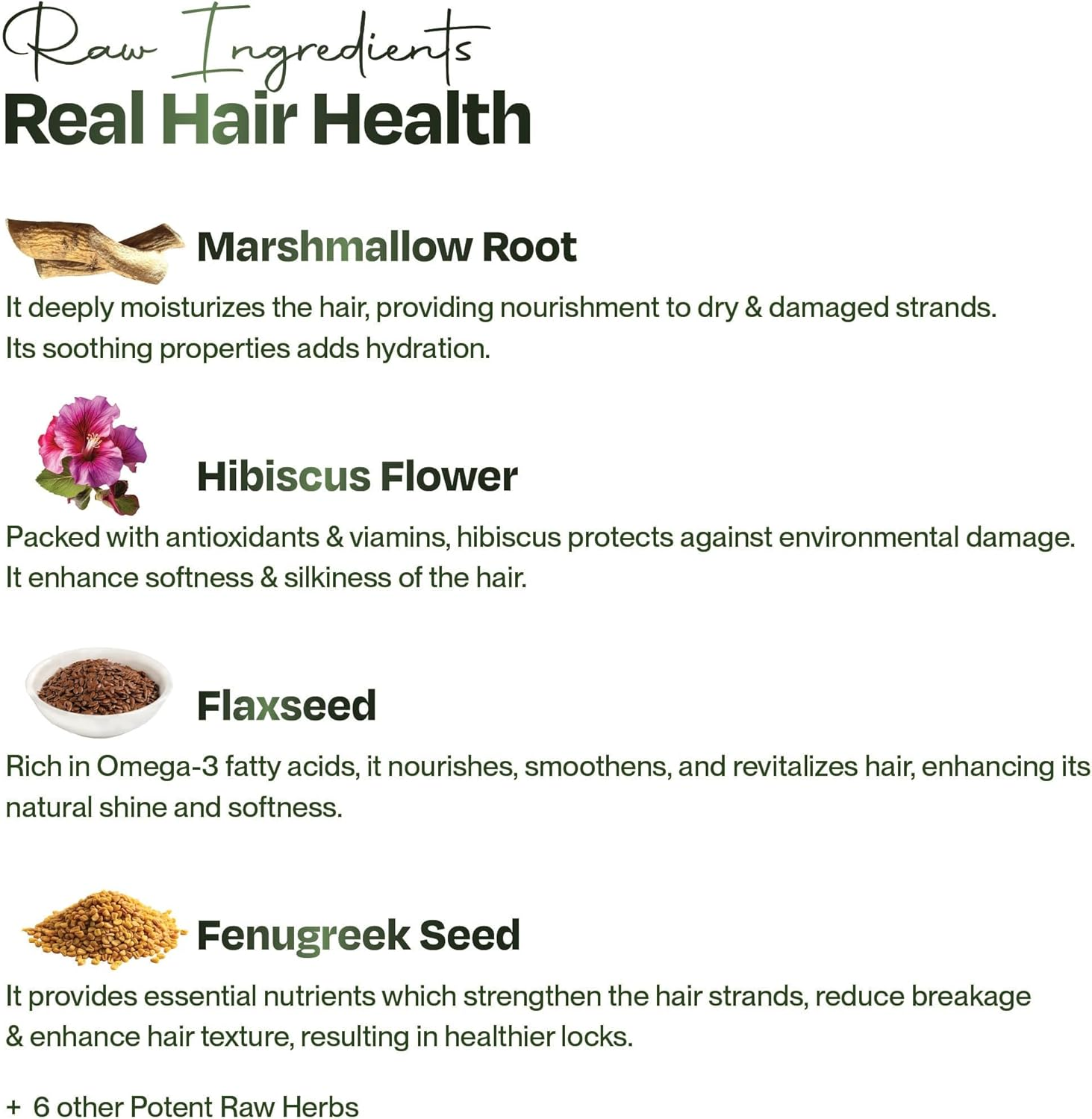 Sacred Grove Condition & Repair Pre Shampoo Hair Mask | Marshmallow Root, Hibiscus & Flaxseeds | for Dry Frizzy Hair That Hydrates Strands Naturally (200 Gm) image number 5