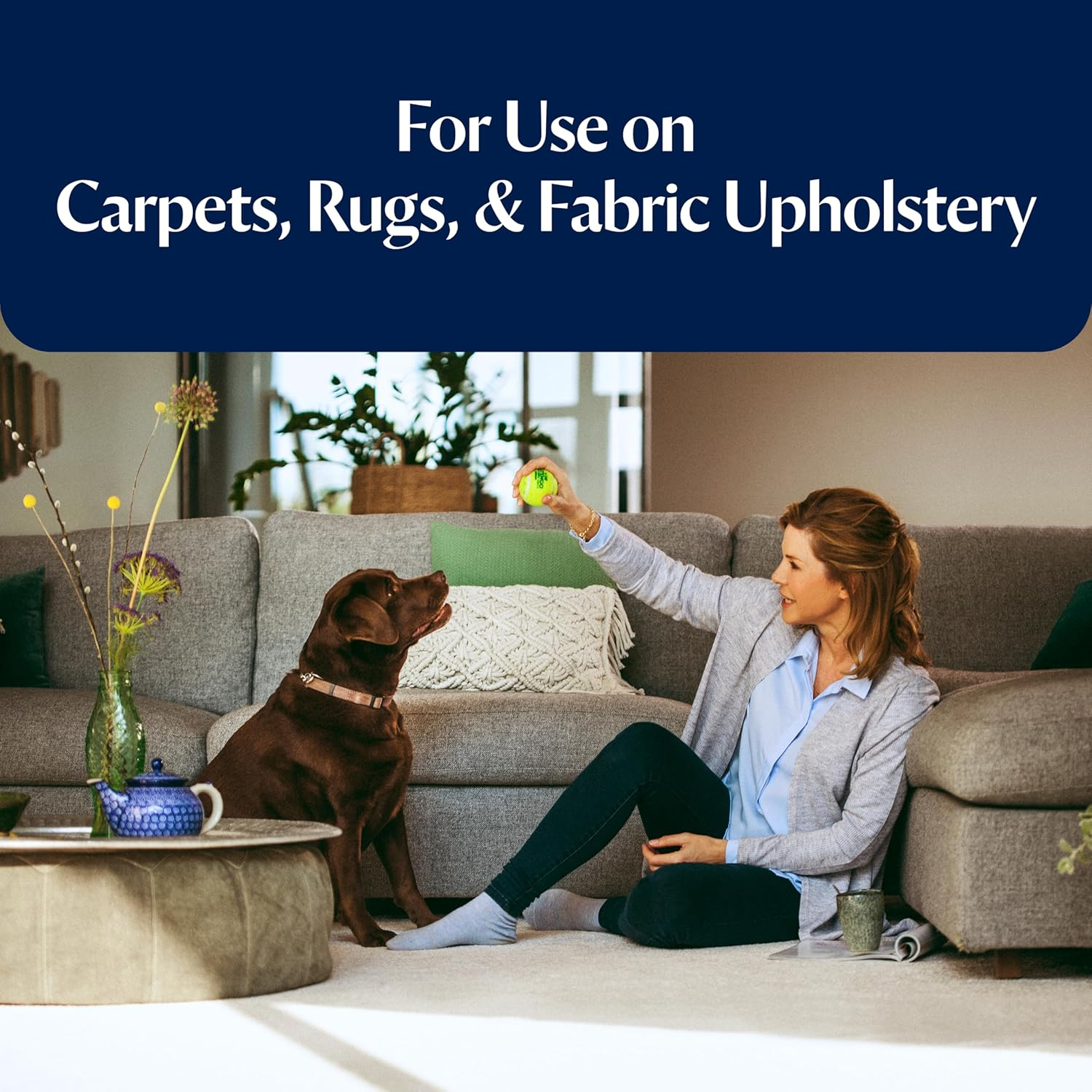 BISSELL Pet Pro Oxy Stain Destroyer - Trigger Pretreat Spray (650Ml) image number 2