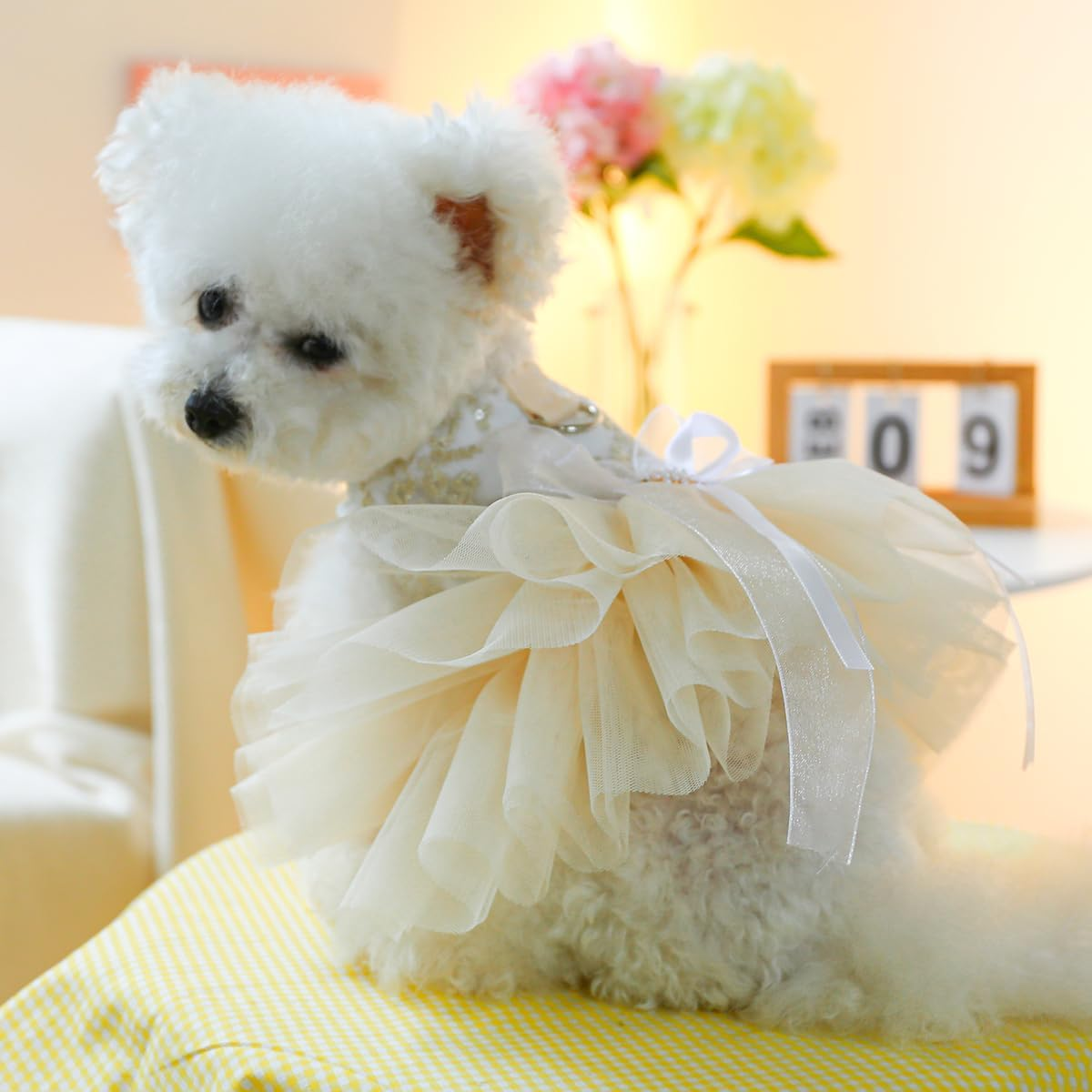 Champagne Dog Dresses for Small Dogs Girl with Leash Ring & Bow Decor,Luxury Dog Wedding Dress with Multi-Layer Princess Tutu Skirt, Embroidered Cat Flower Dress(Large)