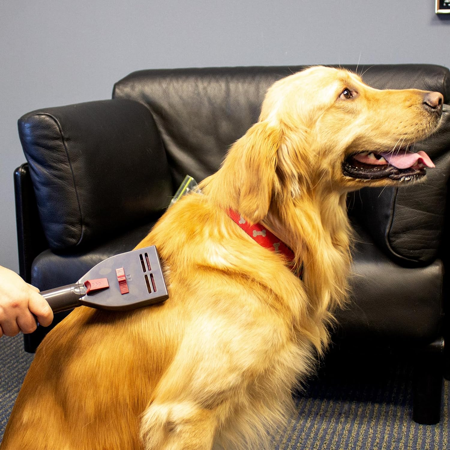 Penn Plax DOGV1 Pet Grooming Tool, Black