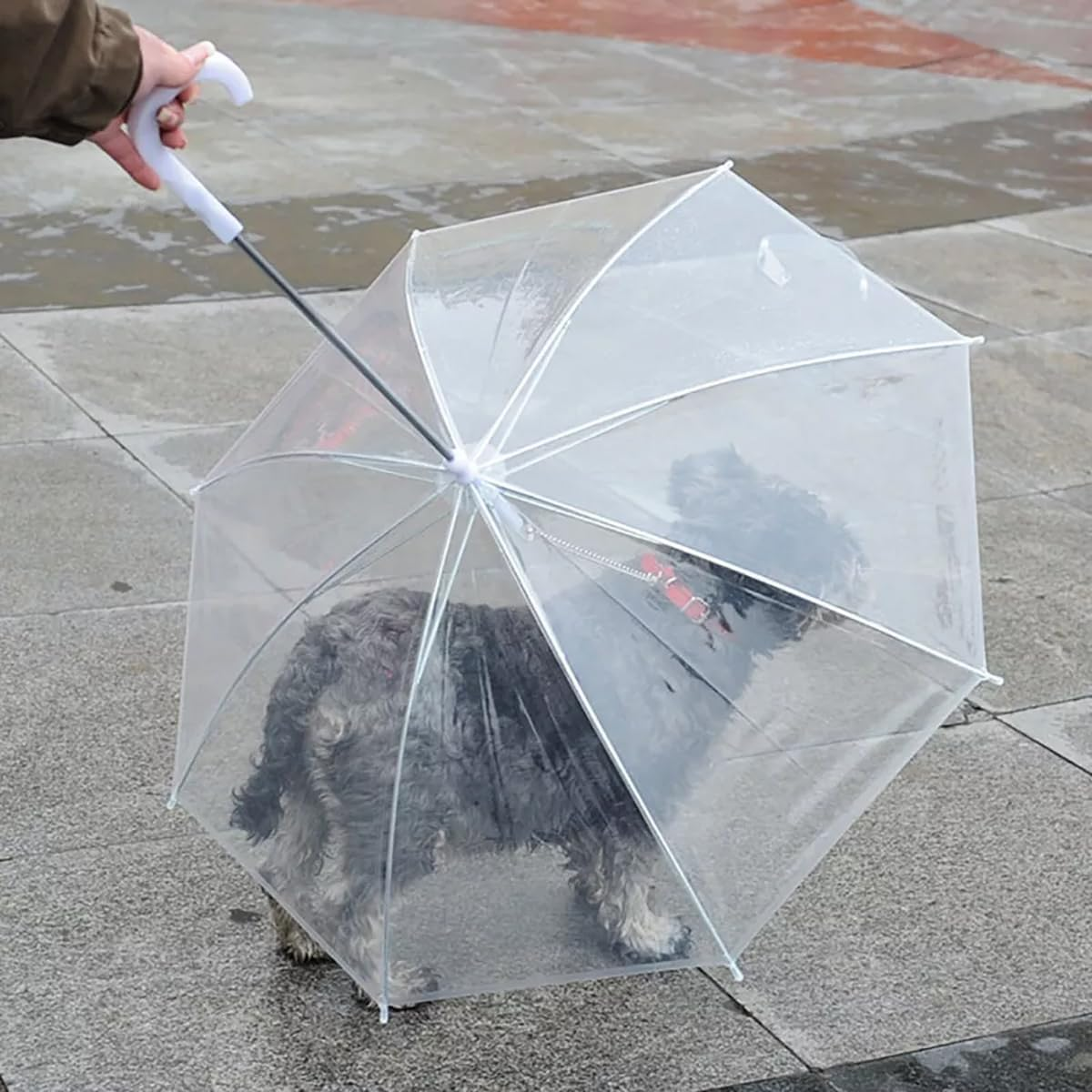 AIMALL Transparent Pet Umbrella for Dogs, Portable Anti-Rain Dog Walker, Stainless Steel Retractable Canopy, Ideal for Rainy Days, Durable and Lightweight Design image number 2