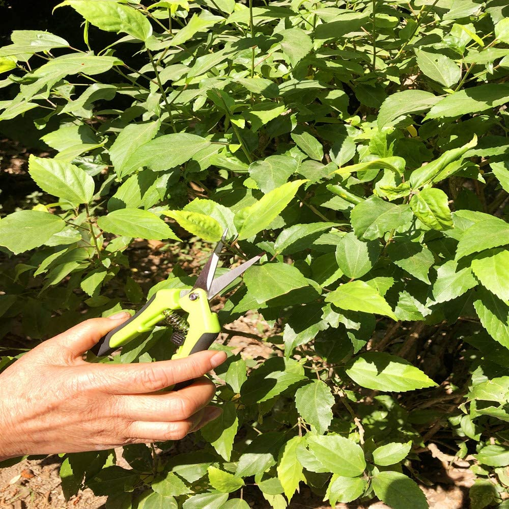 2PCS Hand Pruner Pruning Plant Shears with Straight Stainless Steel Blades for Gardening image number 3