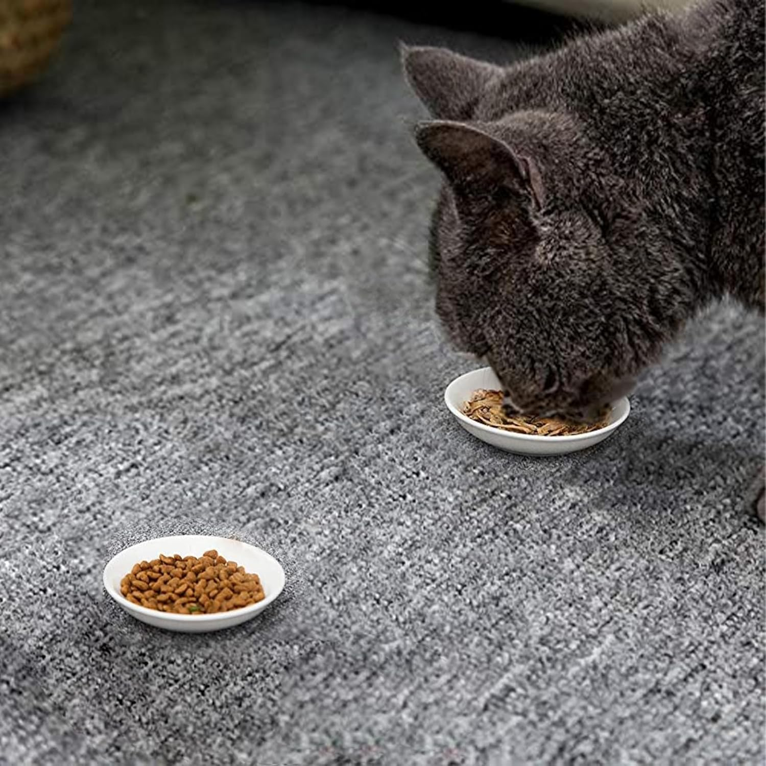 Super Cute Cat Ceramic Sauce Dish,Mini Side Seasoning Dish,Condiment Dishes,Sushi Soy Dipping Bowl,Snack Serving Dishes,Meow Porcelain Small Saucer Set(Set of 6) (7Cm) image number 6