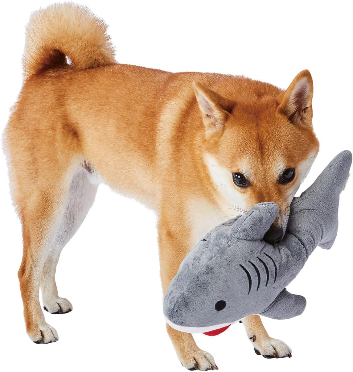 Add.Mate Dog Toy, Aqua Mate Big Shark image number 5