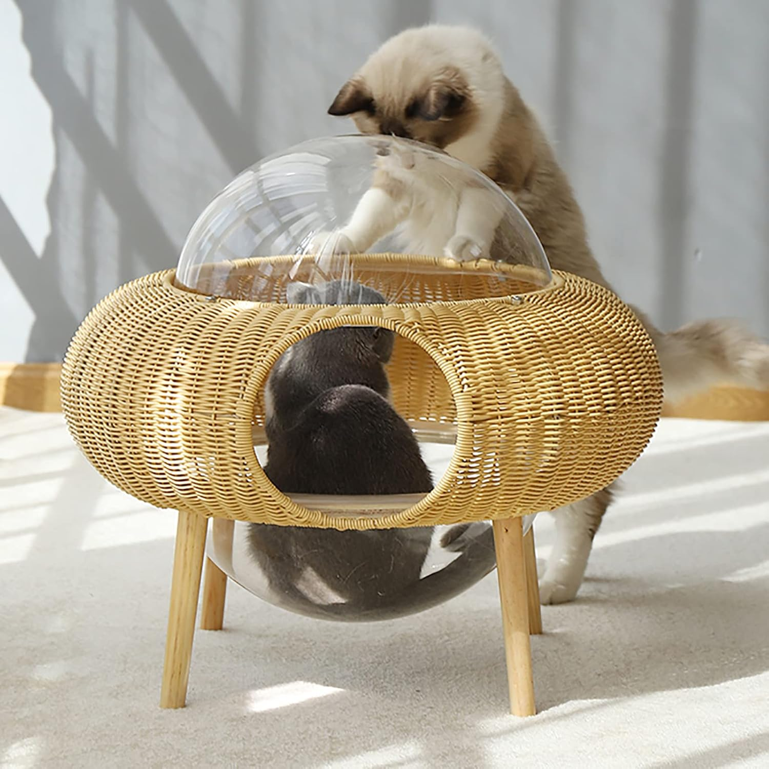 Cat House Space Capsule, Spaceship Alpha, Cute Durable Rattan Cat Bed Removable Washable Pet Bed, Designed & Modern Cat House image number 5