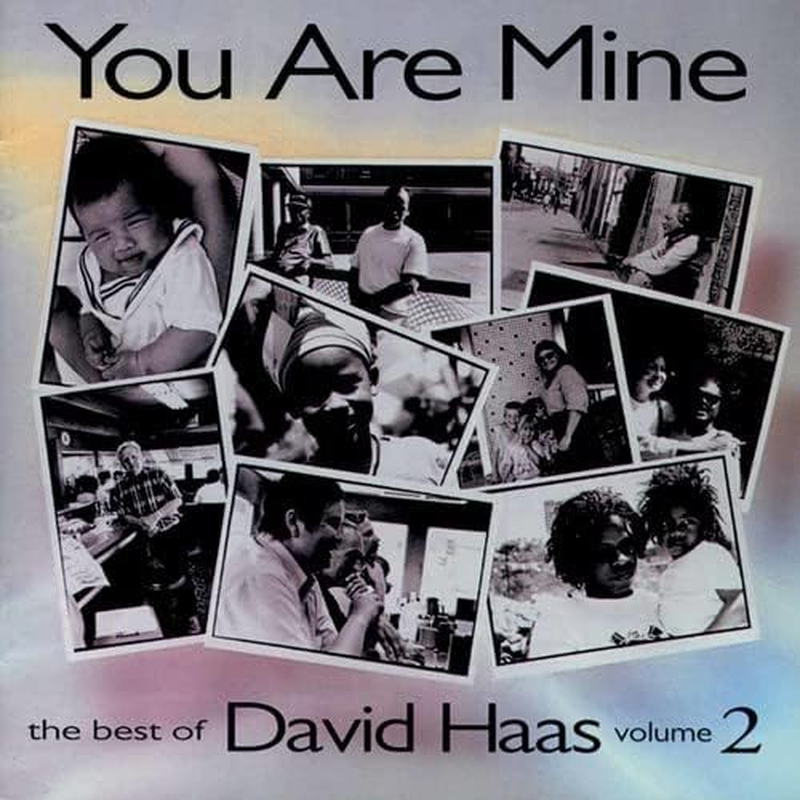 V2 Best of David Haas