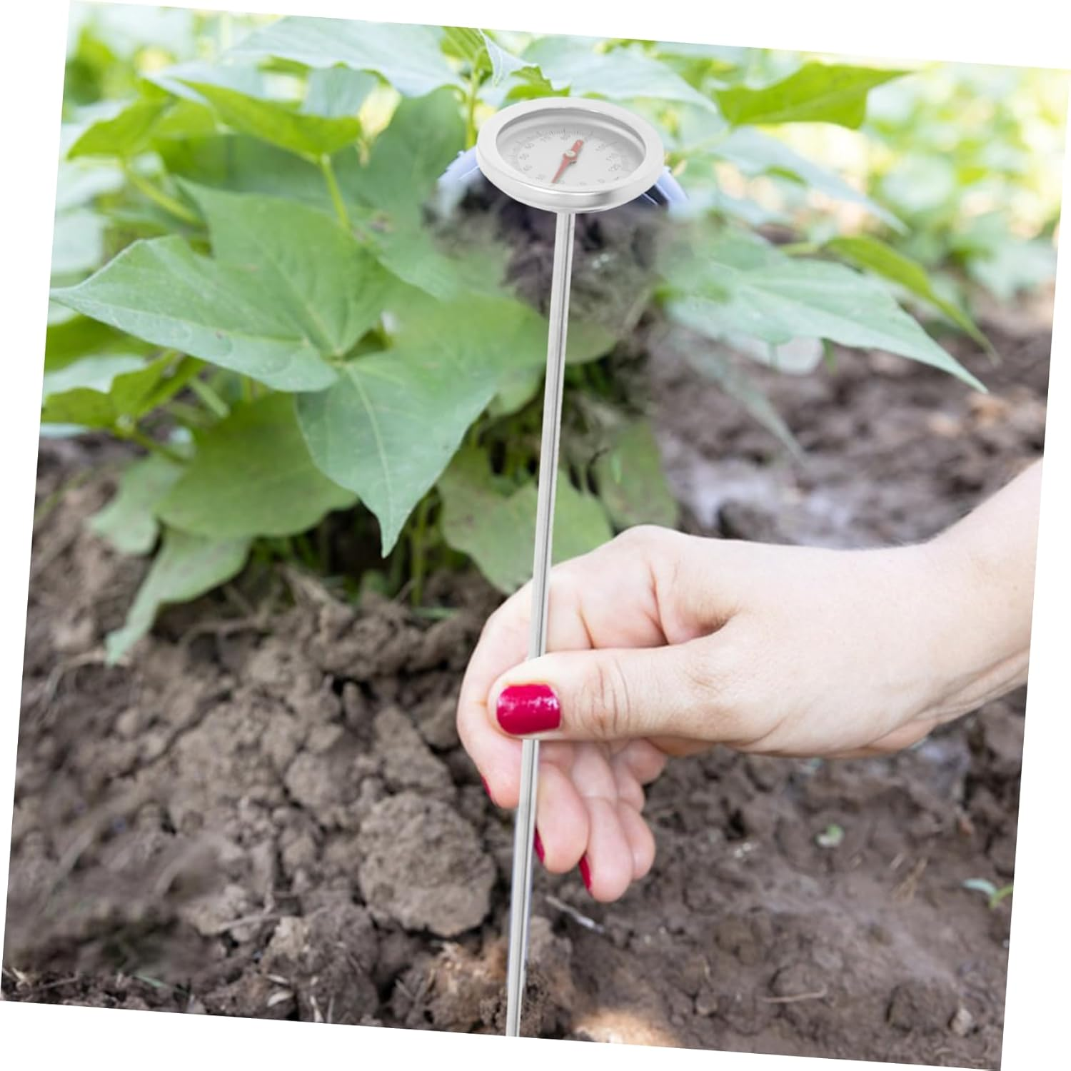 POPETPOP Stainless Steel Compost Soil Thermometer with Long Probe Durable Dual Scale Celsius Gauge for Gardening Portable Earth Temperature Measuring Tool for Home and Farm Use