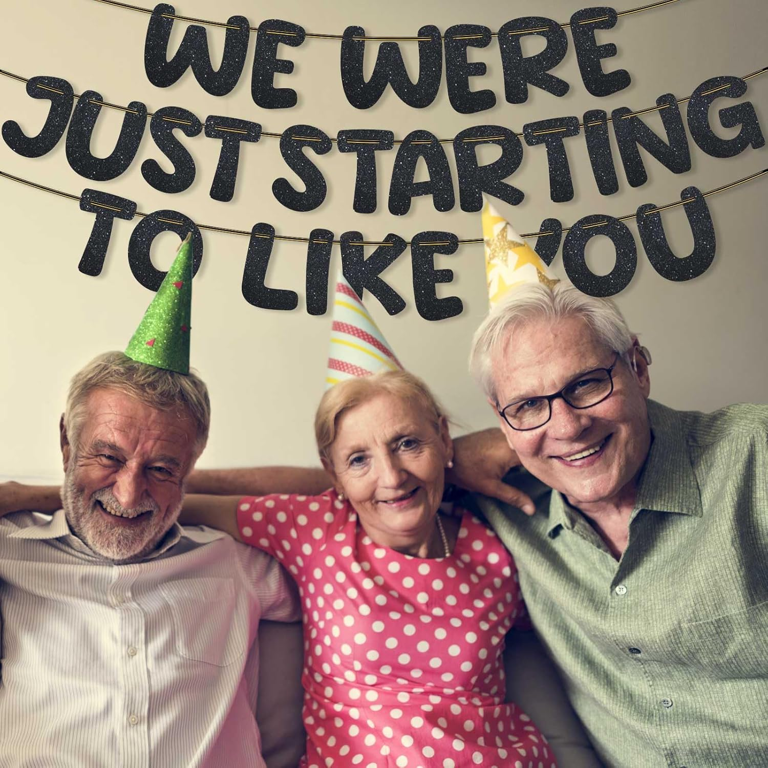 We Were Just Starting to like You Banner, Pre Strung Going Away Party Decorations Glitter Banner Bunting for Farewell Moving New Job Will Miss You Funny Retirement Party Supplies (Black) image number 6