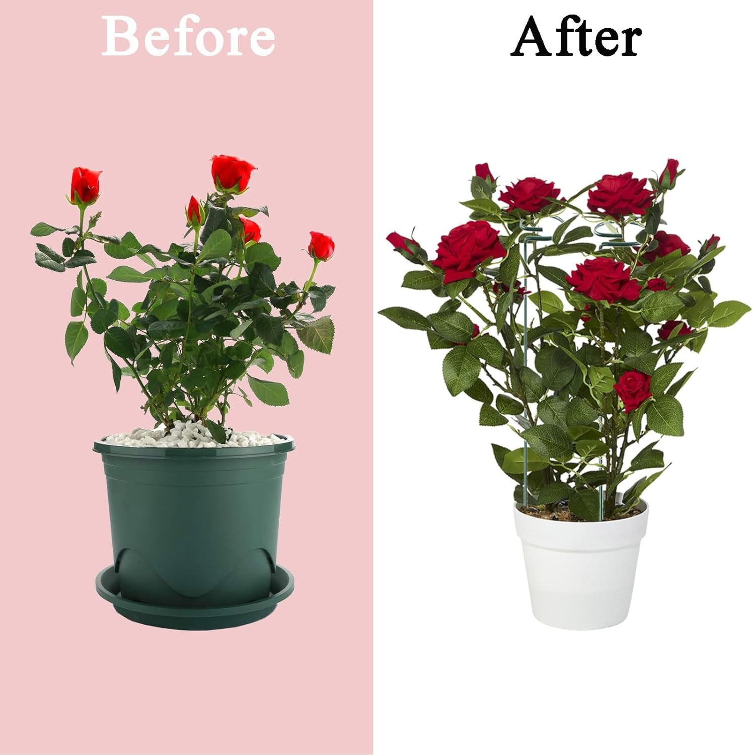 33Pcs Plant Support Stakes,12Pcs Semicircular Plant Stakes for Indoor Plants,20Pcs Plant Clips,Plant Sticks Support Tall for Monstera,Tomatoes,Rose image number 1