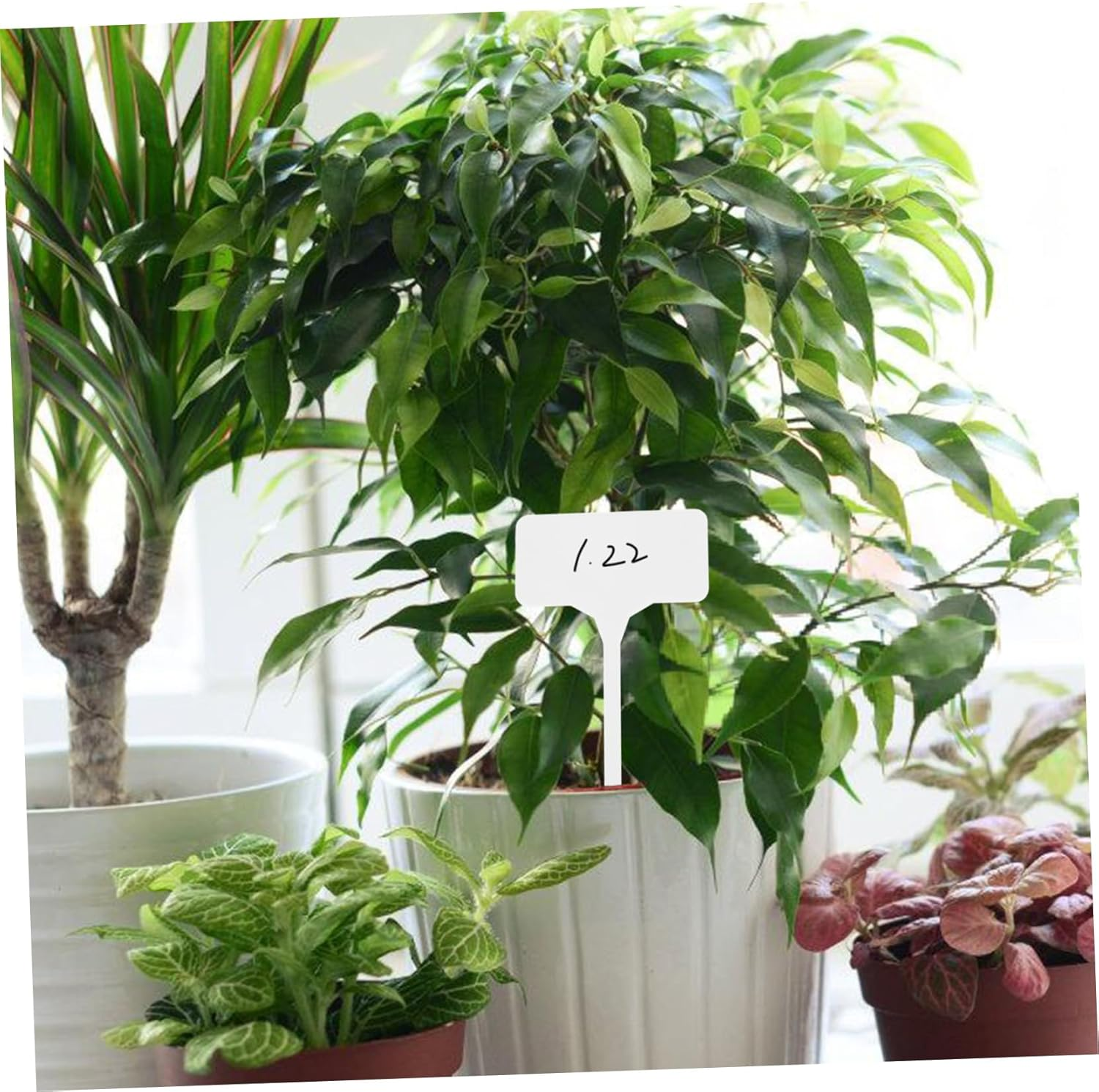 PHENOFICE 50Pcs Plant Labels Replaceable Garden Markers Safe Practical Plant Tags Compact Easy to Use Decorative Garden Supply