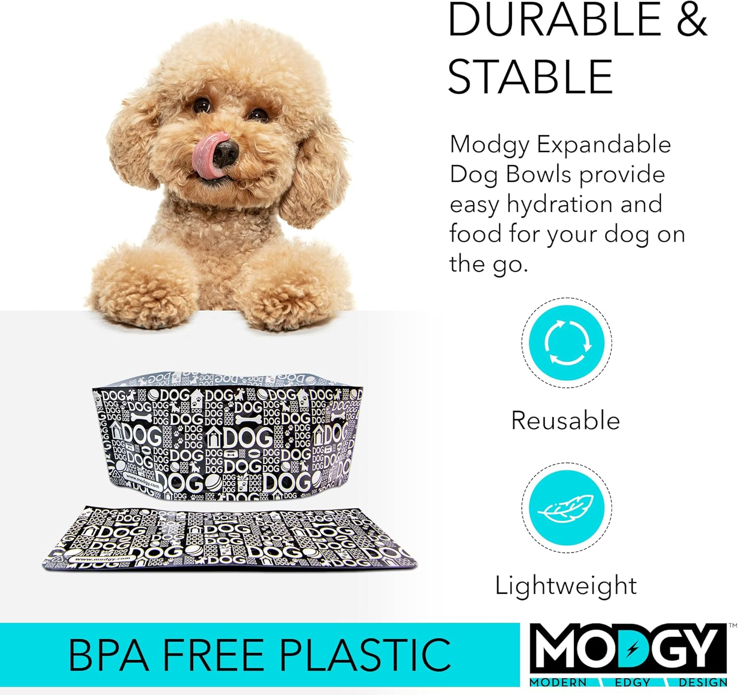 Modgy Dog Bowl 2-Pack Doggy Dog Design, Collapsible & Expandable, Convenient, Great for Traveling, Camping, Hiking, Picnics & More image number 3
