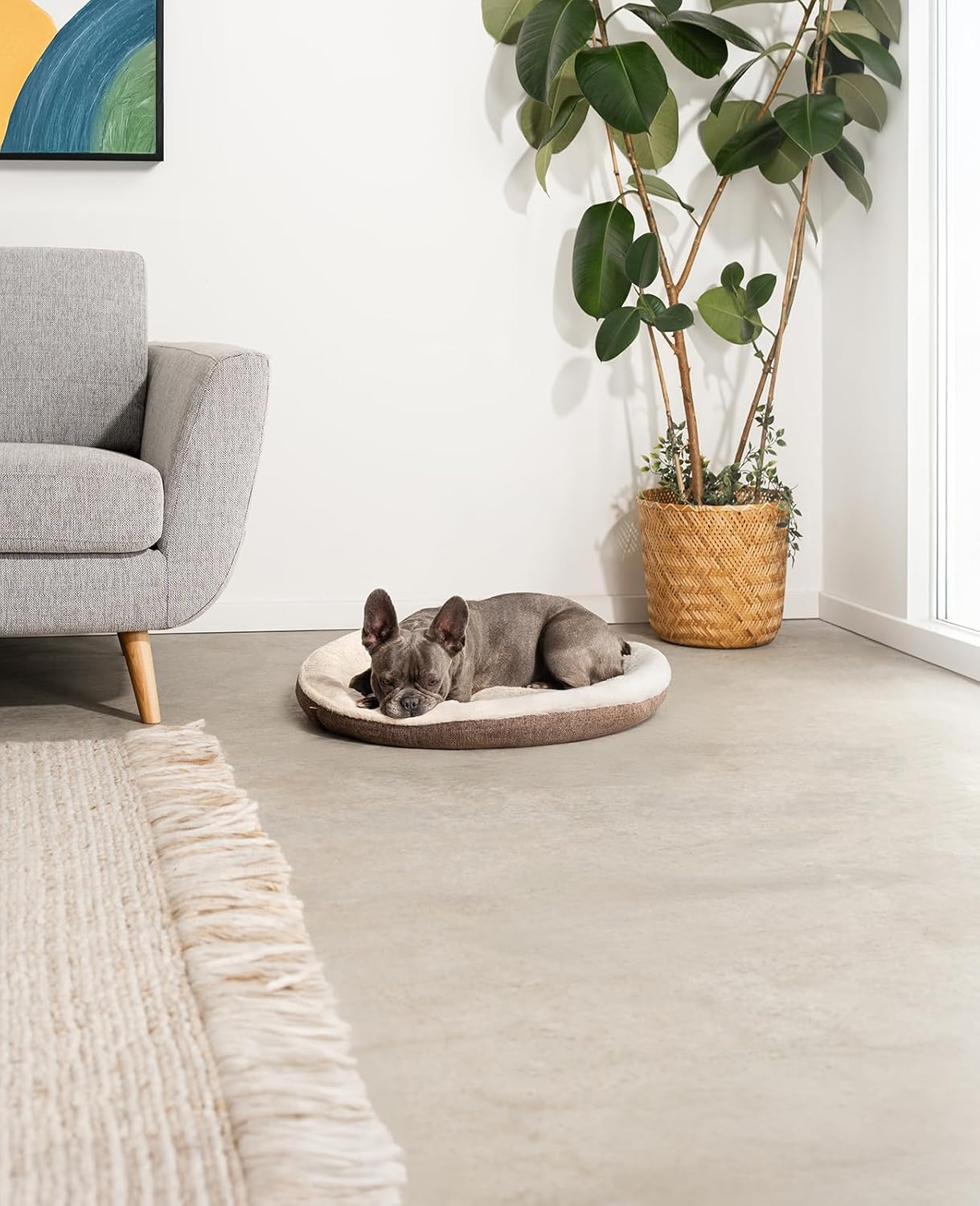 Lionto DB00286 round Dog Bed Dog Sofa Cat Bed Donut (M) 65 Cm M Brown 1000 G image number 1