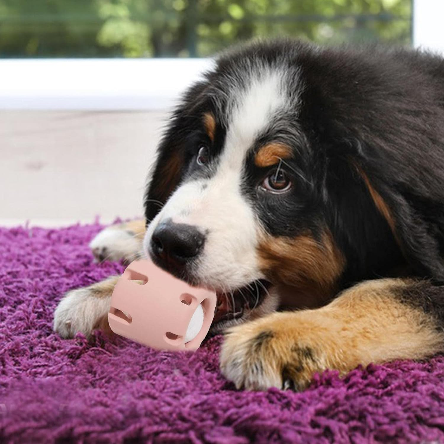 Tennis Tumble Dog Puzzle - Wear-Resistant Tennis Ball Tumble Dog Toy | Bite Resistant Dog Puzzle Ball Toy for Indoor Dog Toy Dog Teeth Chew Toy Shwing image number 5