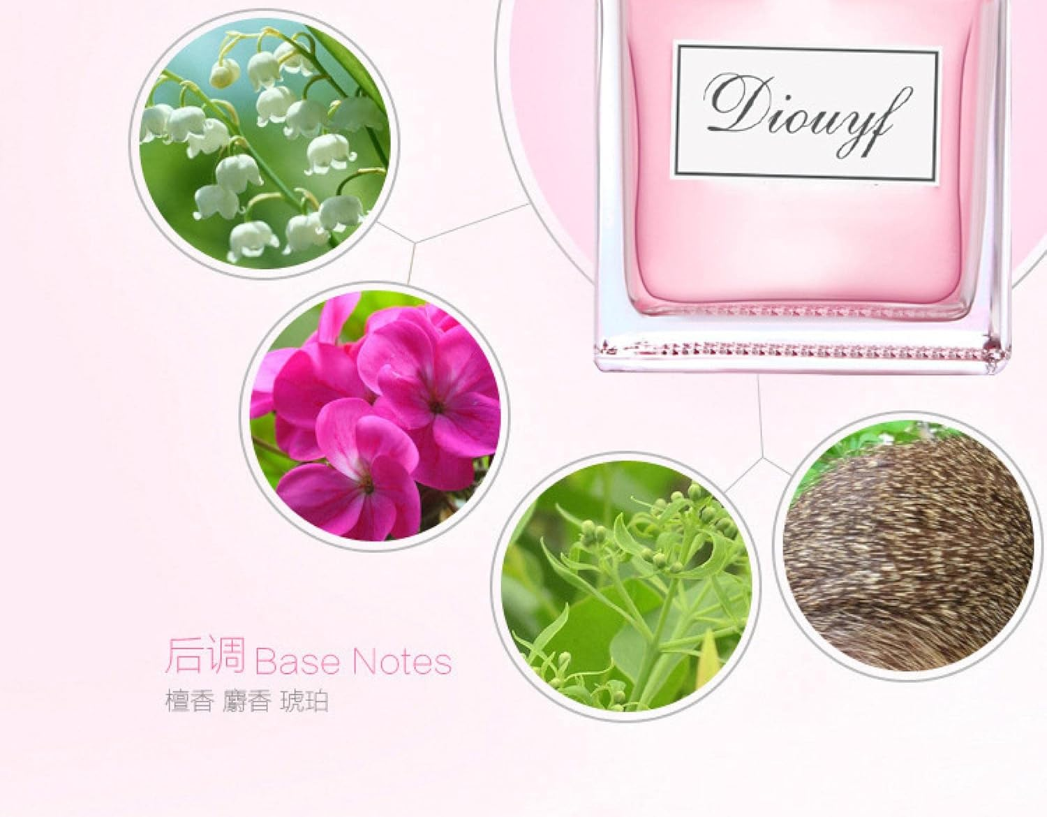 Women'S Student Perfume Lasting Fragrance Fresh Sweet Sweet Flower Fruit Fragrance 50Ml N/AY Sweetheart 50Ml image number 5