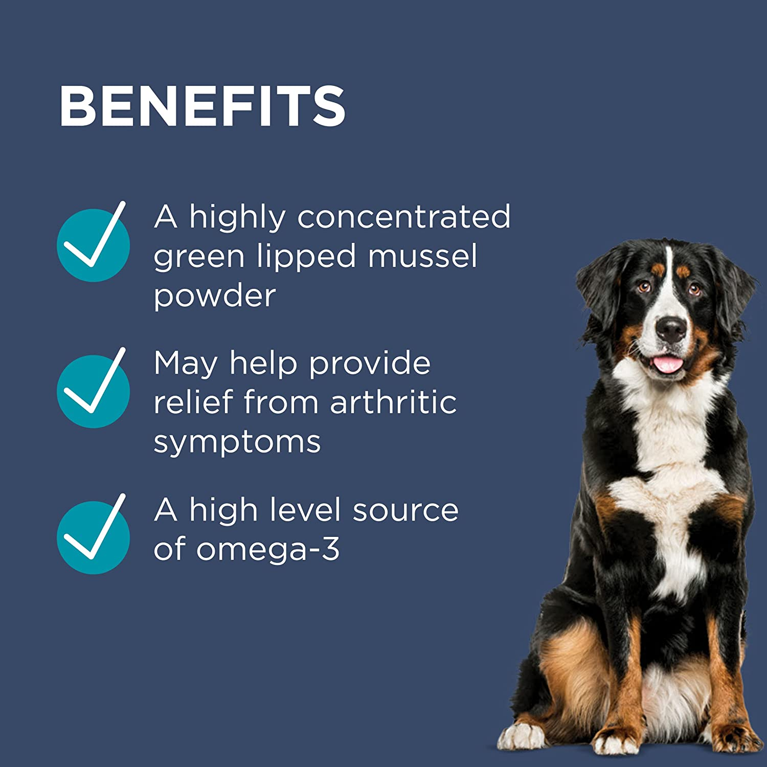 PAW by Blackmores Osteosupport&reg; Joint Care Powder for Dogs | Provides Relief of Arthritic Symptoms| 80 Capsules image number 5