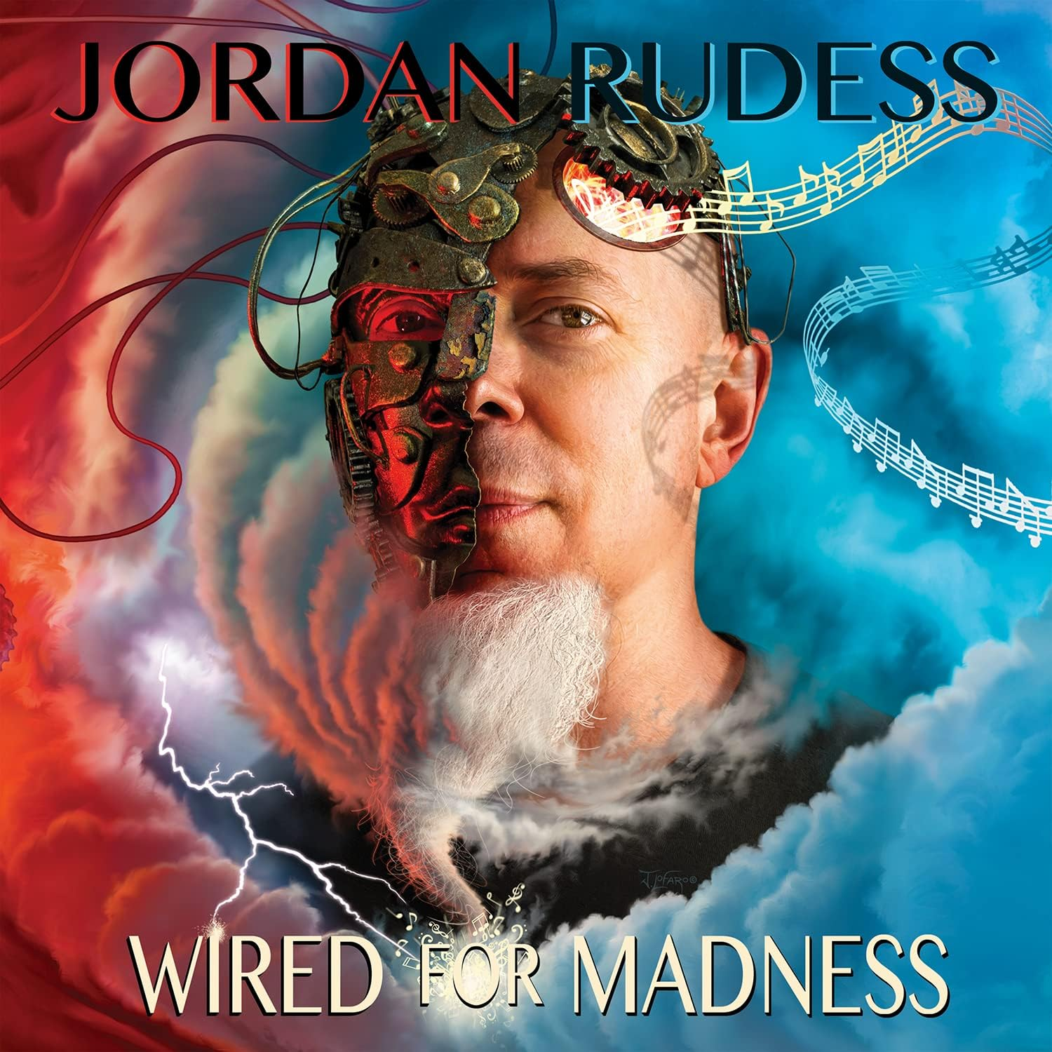 Wired for Madness image number 1
