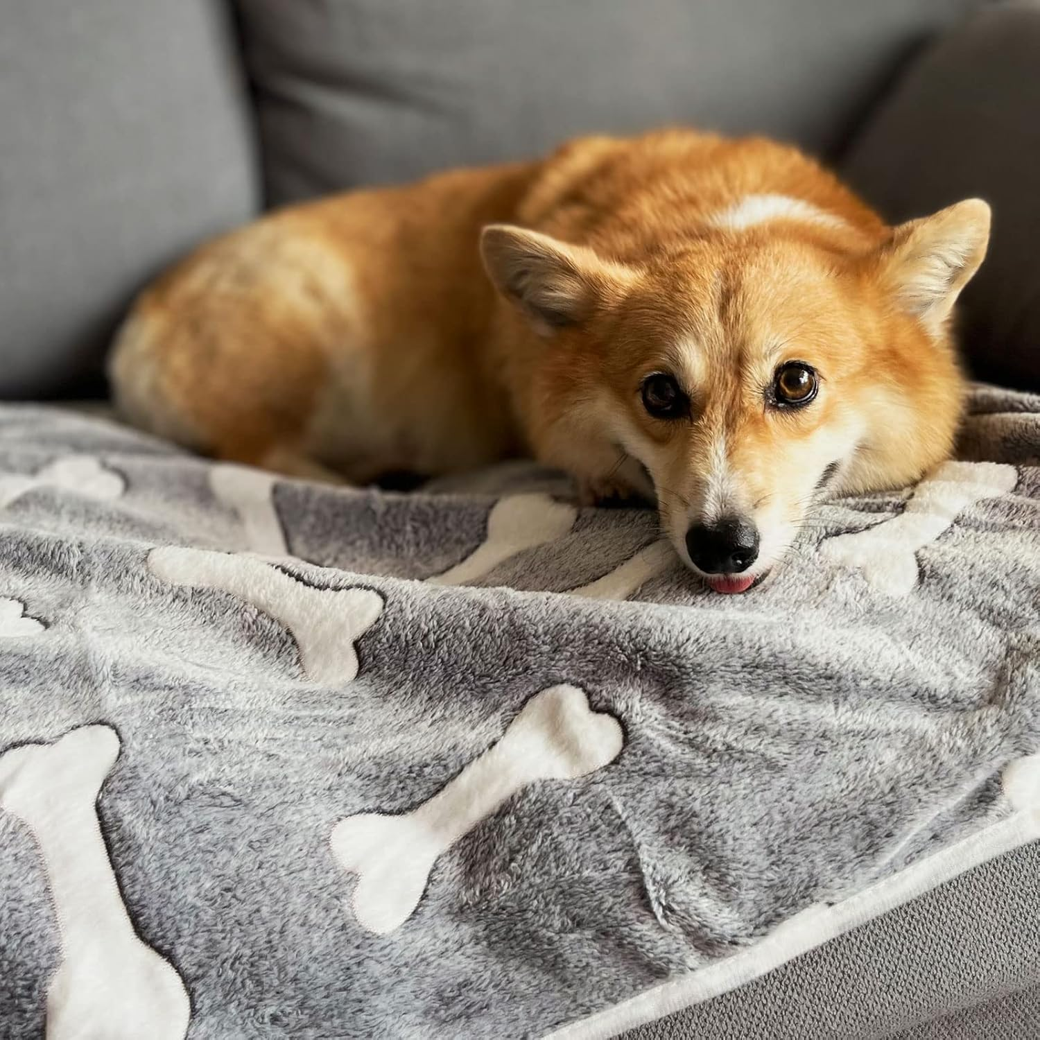 1 Pack 3 Puppy Blankets Super Soft Warm Sleep Mat Grey Cute Print Blanket Fluffy Fleece Pet Blanket Flannel Throw Dog Blankets for Small Dogs Puppy Dogs Fluffy Cats,Bone-Medium(29"X20") image number 7