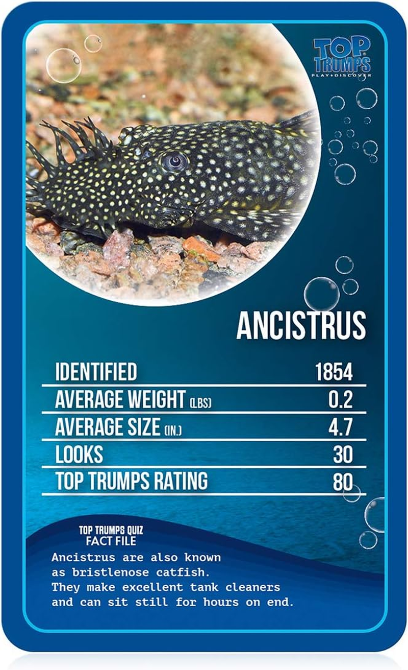 Top Trumps - Freshwater Fish - Educational Card Game image number 1
