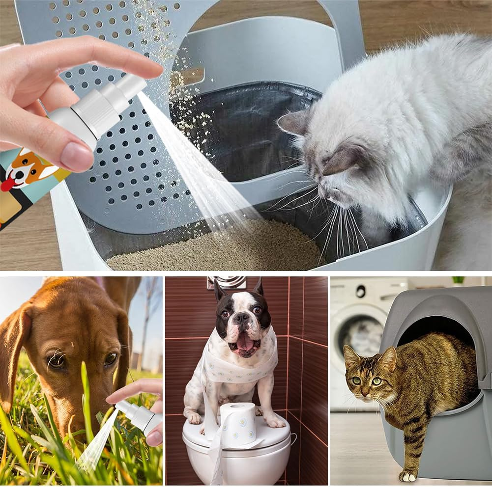 Potty Training Spray for Dogs, Dog Pee Spray Training, Spray for Training, Potty Training Dogs, Dog PIPI Trainer, Puppies and Dogs, Potty Training, for Cats, Dogs, Hamsters, Rabbits, 30 Ml image number 1